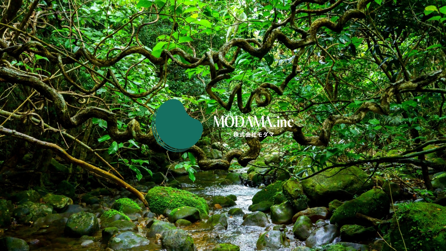 モダマの由来