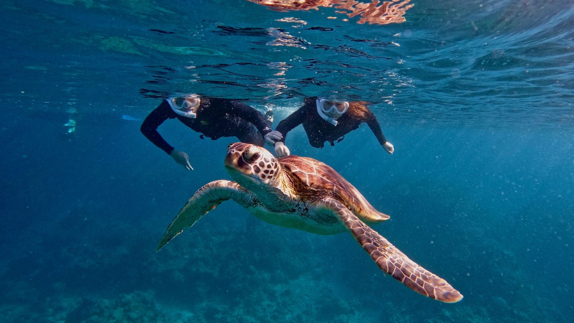Snorkeling