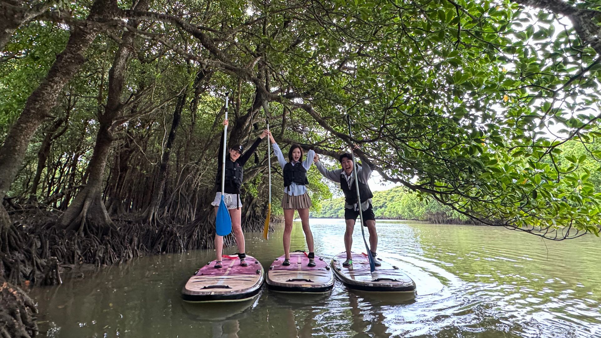 Mangrove SUP