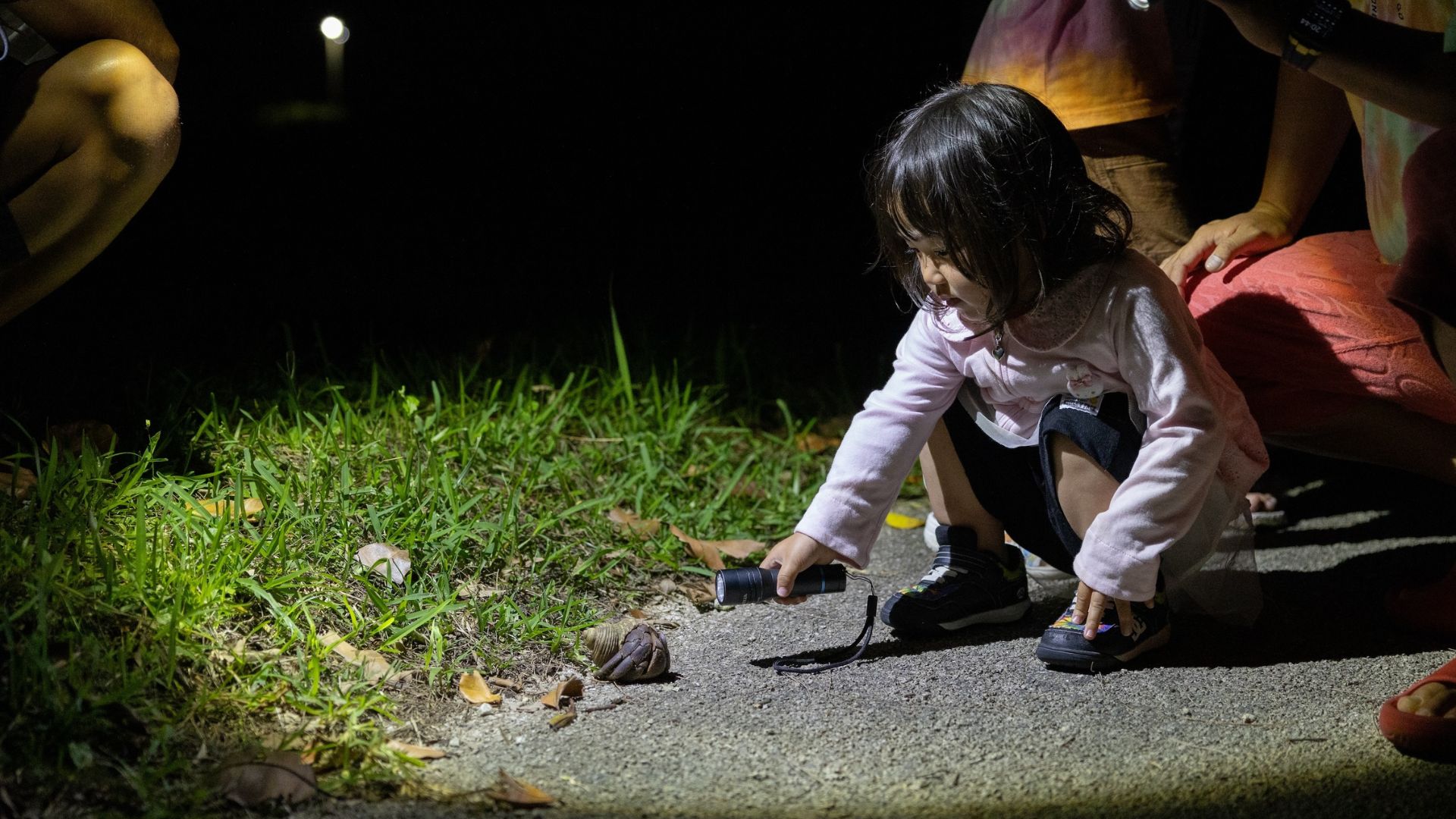 Night Tour